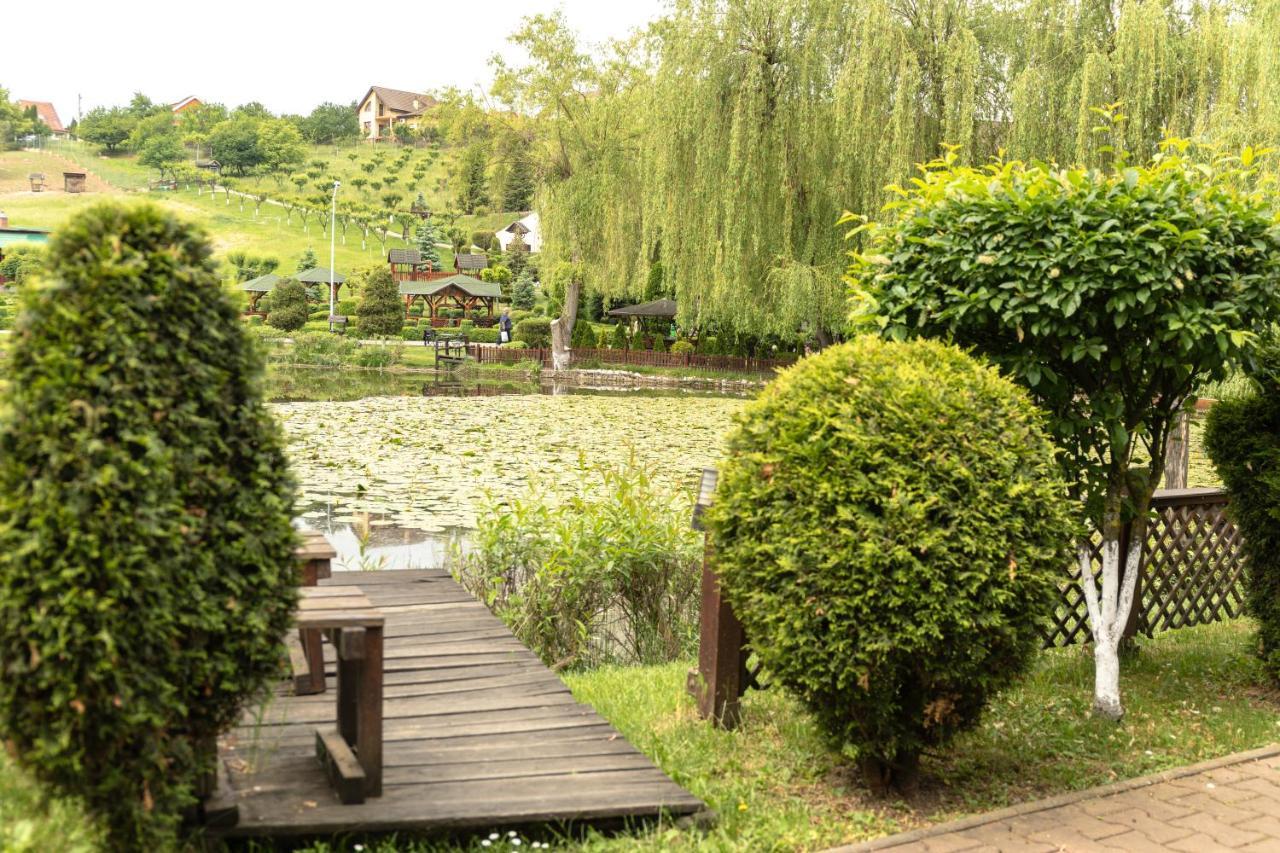 Complex Turistic Darina Sancraiu De Mures Ngoại thất bức ảnh