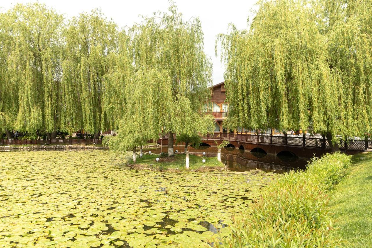 Complex Turistic Darina Sancraiu De Mures Ngoại thất bức ảnh