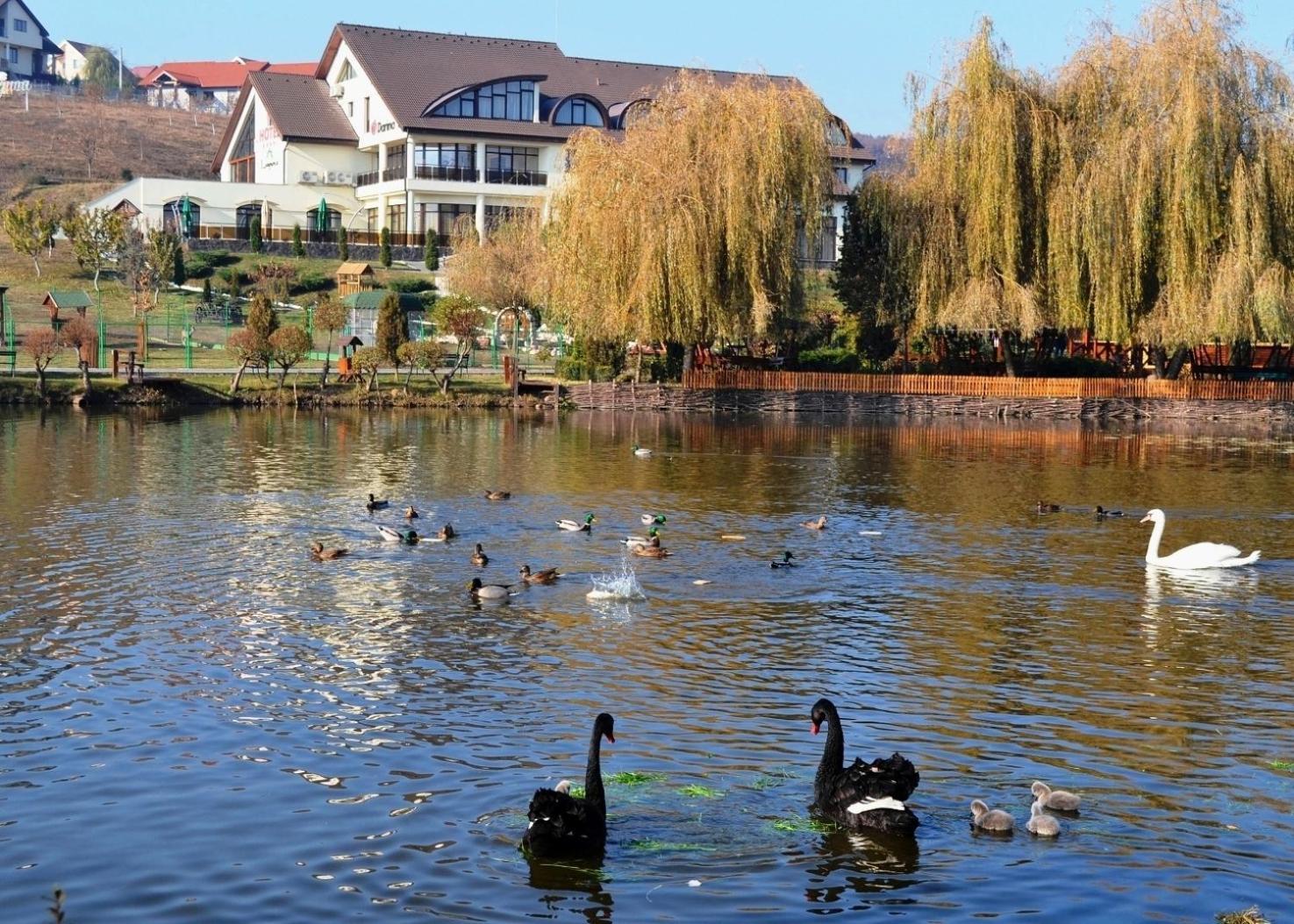 Complex Turistic Darina Sancraiu De Mures Ngoại thất bức ảnh
